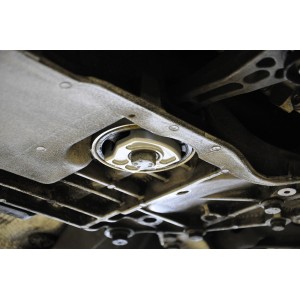 034-509-1020 - 034motorsport Billet Aluminum Dogbone Mount Insert for Early (Up to 2008.5) MkV Volkswagen Golf/Jetta/GTI/GLI & 8J/8P Audi TT/A3 034-509-1020 - 034motorsport Billet Aluminum Dogbone Mount Insert for Early (Up to 2008.5) MkV Volkswagen Golf/Jetta/GTI/GLI & 8J/8P Audi TT/A3